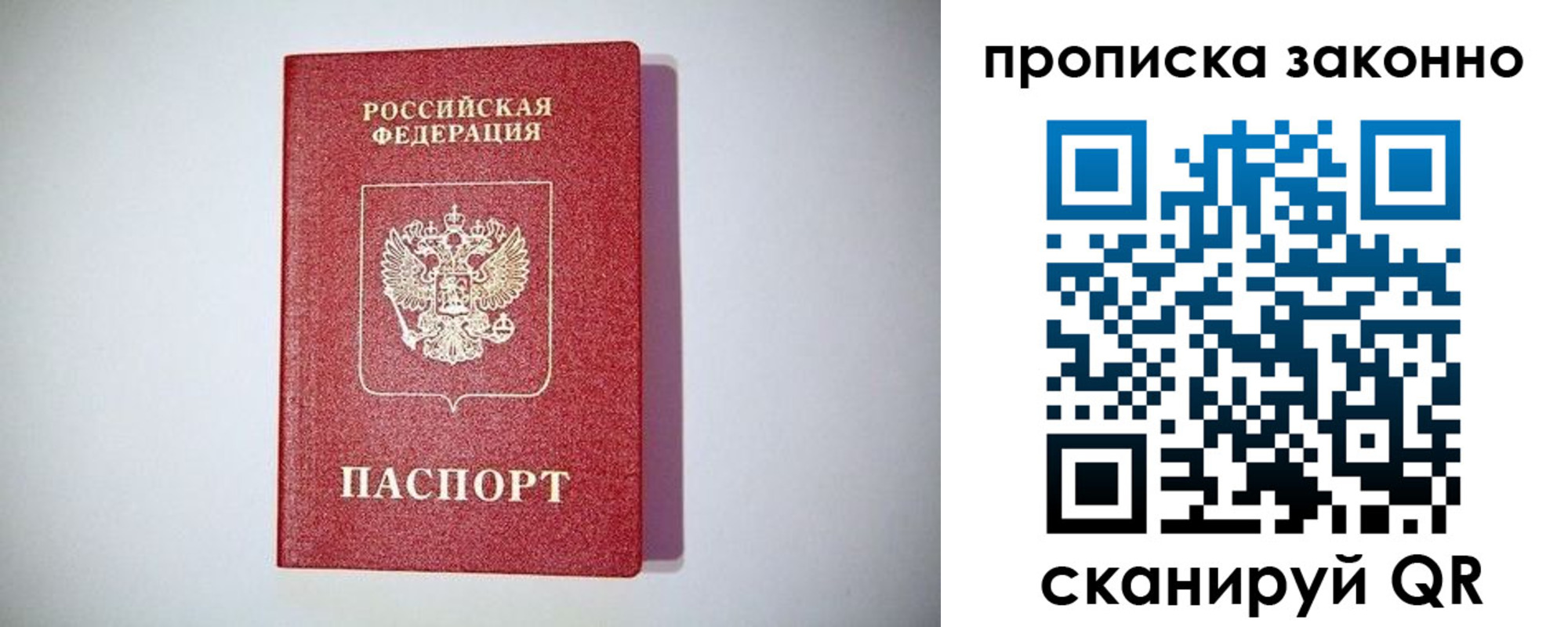 прописка для школы в Купино
